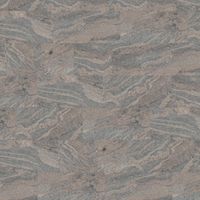 Corkstone-Granit-Juparana-India-907-gerade-scaled